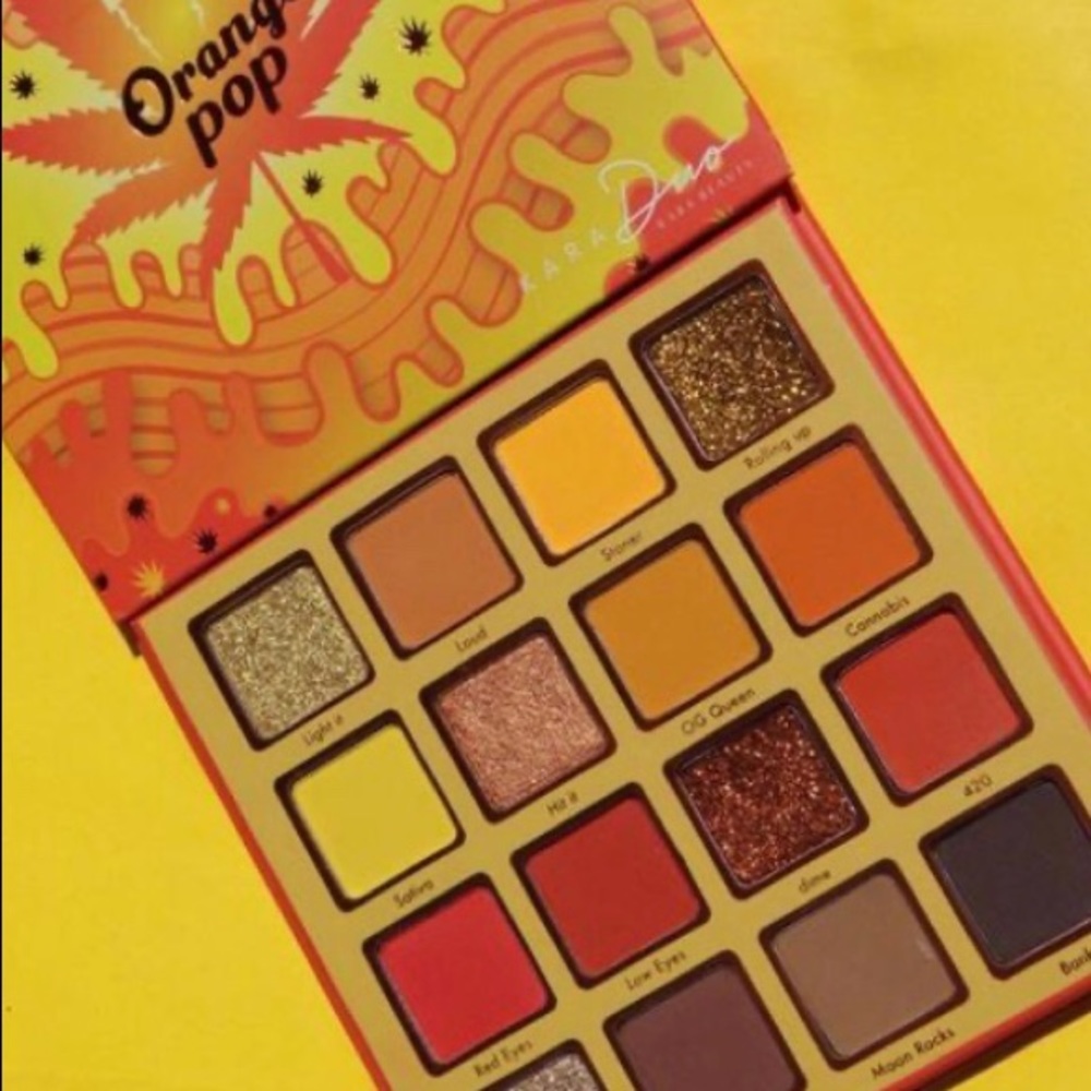 🍊NWTOrange Pop pallet 🍊